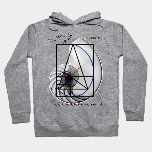 Fibonacci Hoodie by NerdsbyLeo